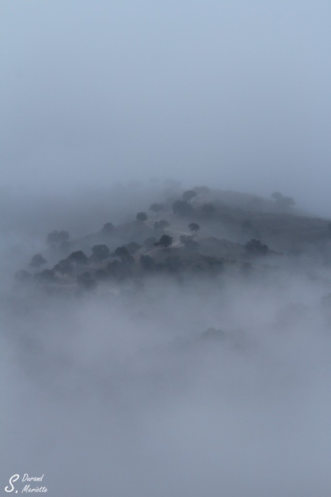Andujar dans la brume