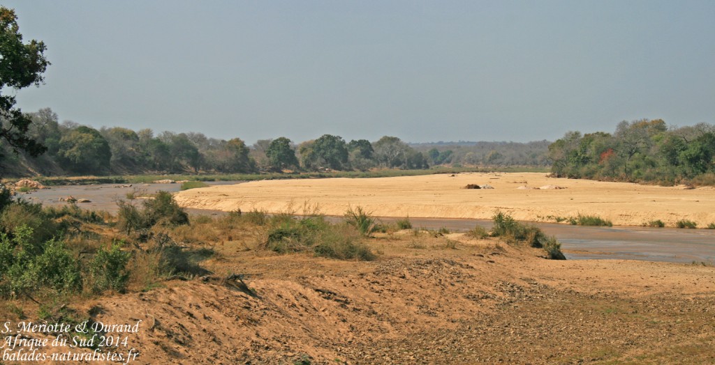 14-08-22 kruger (38)-