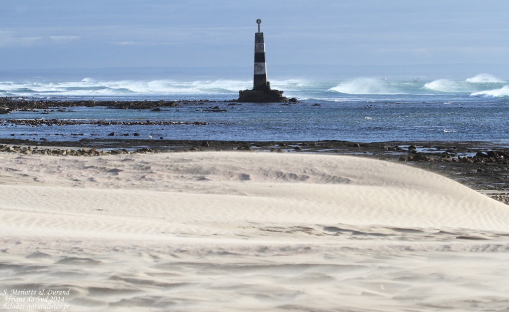 afrique-du-sud-cap-recife (5)