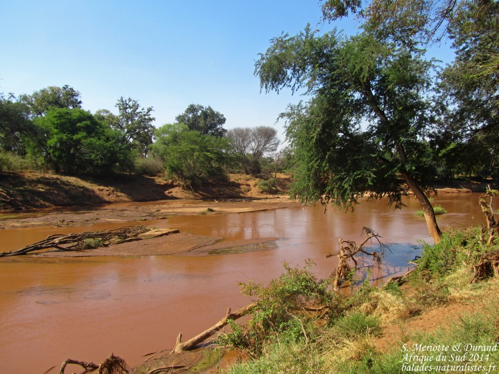 balades-naturalistes-kruger (1)