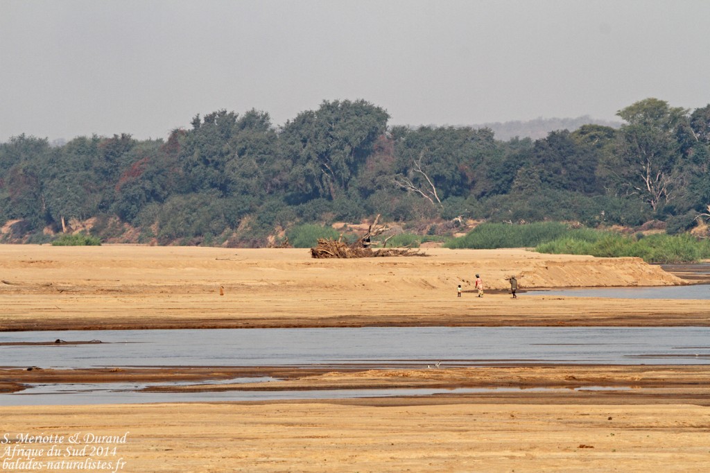 Le Limpopo, frontière avec le Zimbabwe et le Mozambique