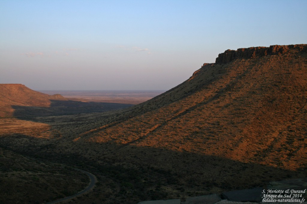 Karoo