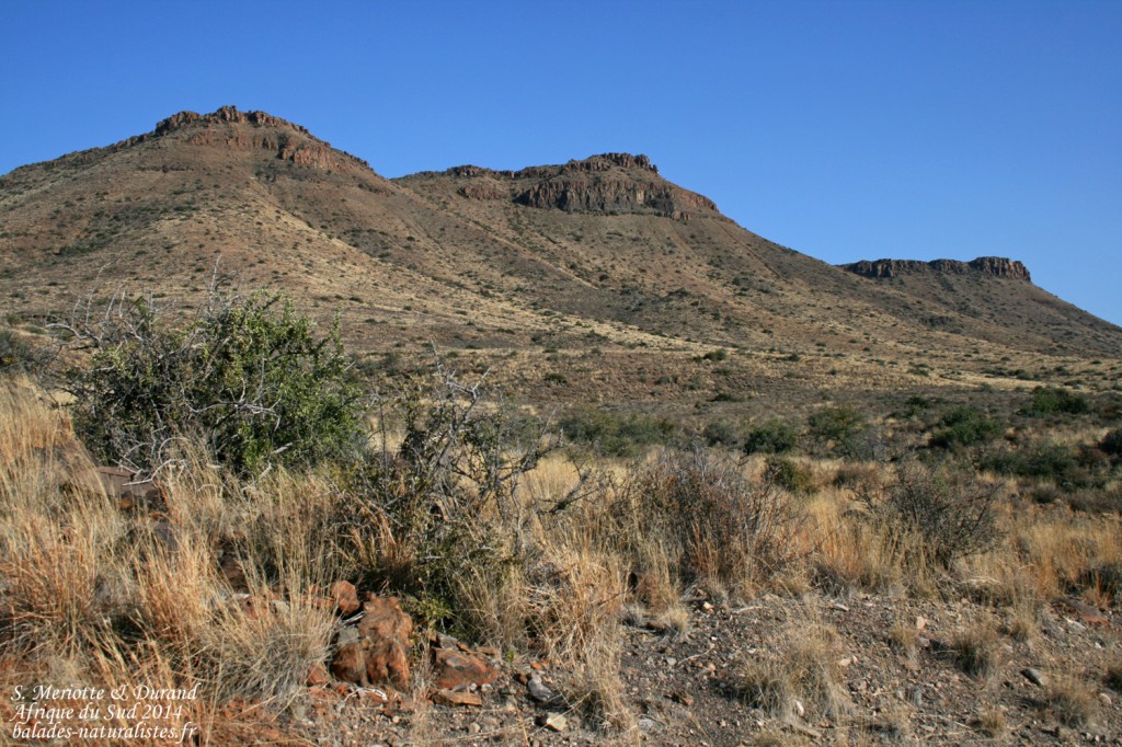 Parc National du Karoo