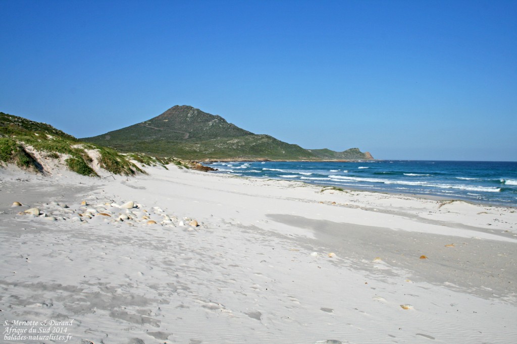 Cap de Bonne Espérance