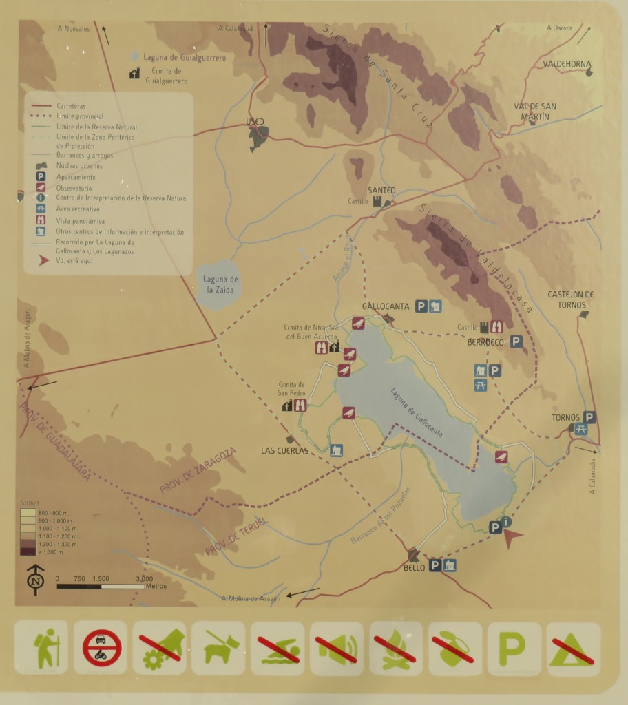 Gallocanta (Aragon - Espagne)