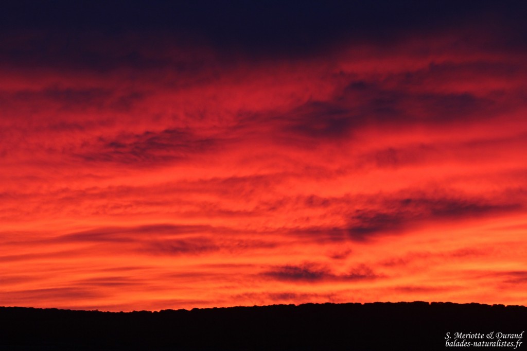 Gallocanta (Aragon - Espagne)