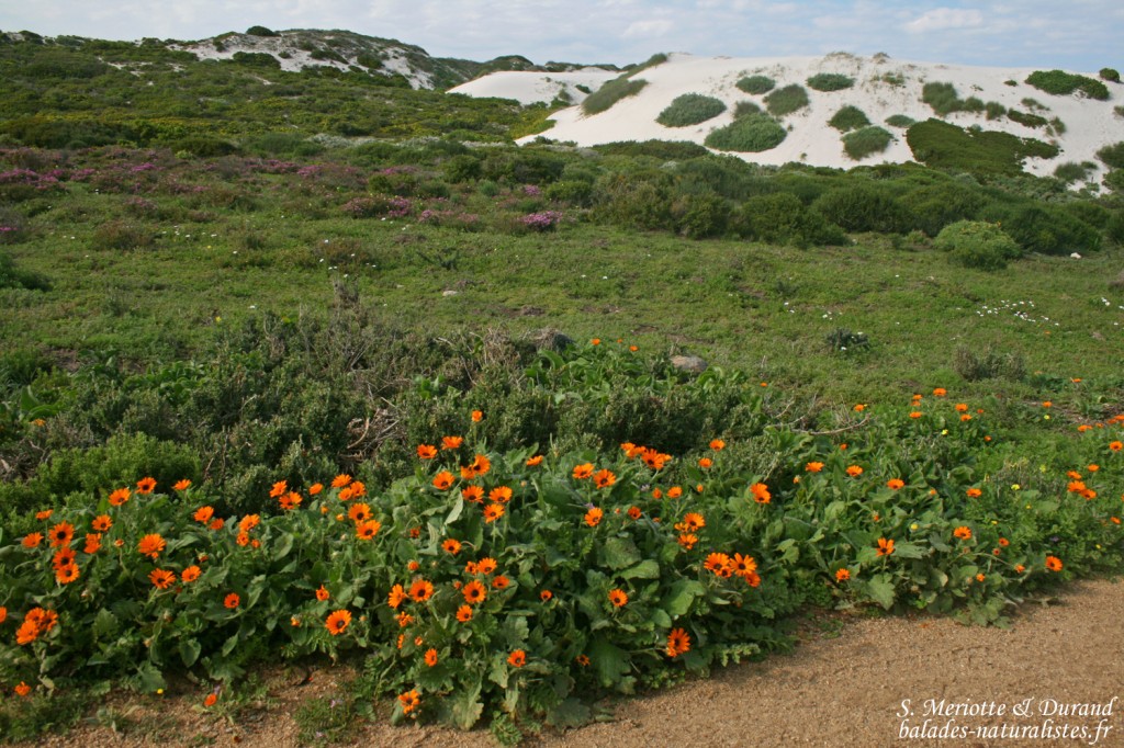 West Coast National Park