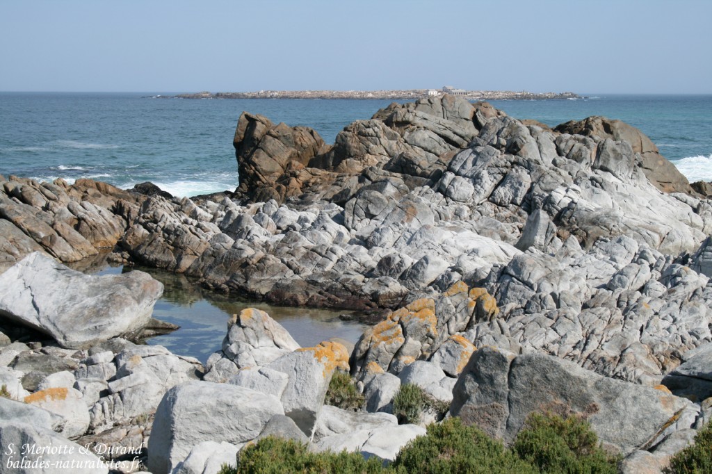 West Coast National Park