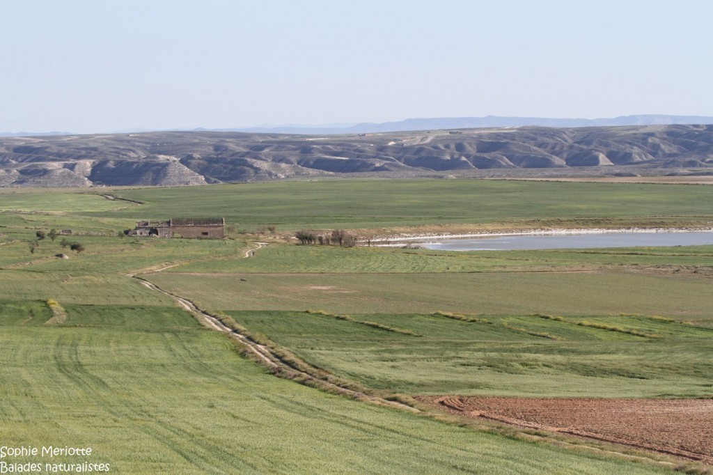 Les salines de Mediana