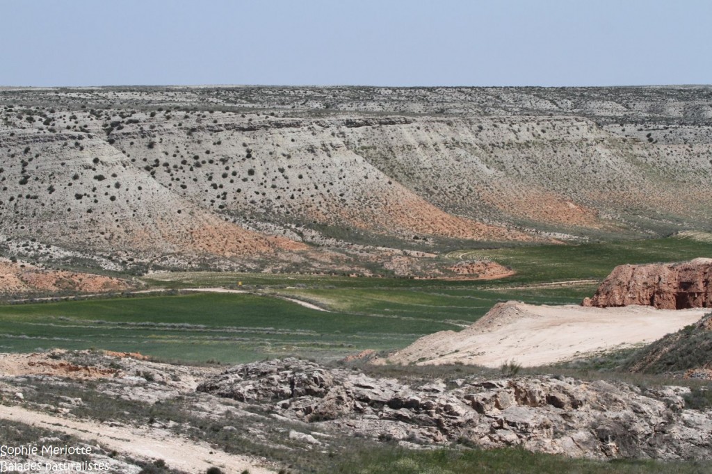 Plateau de La Lomaza