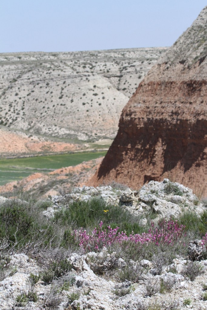 Plateau de La Lomaza
