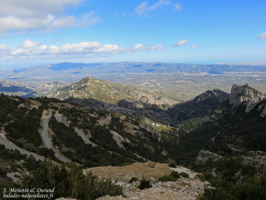 Els Ports Natural Park
