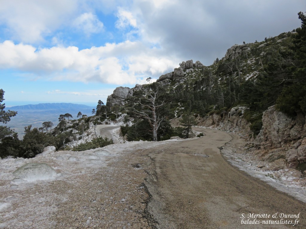 Els Ports Natural Park