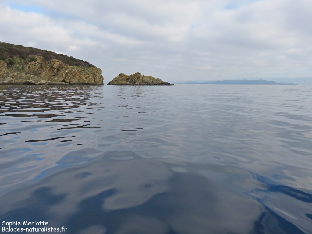 La pointe nord de l'île de Bagaud