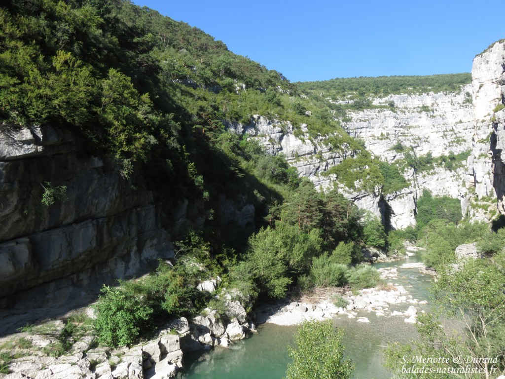 Gorges du Verdon