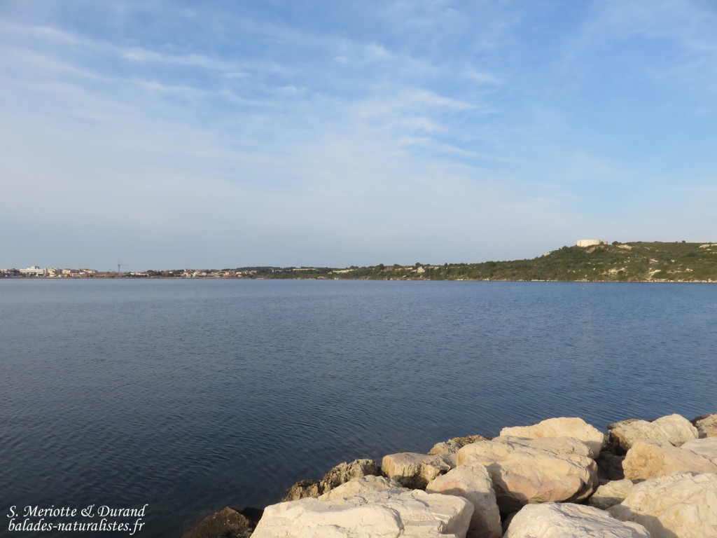 Étang de l'Estomac, Fos-sur-mer