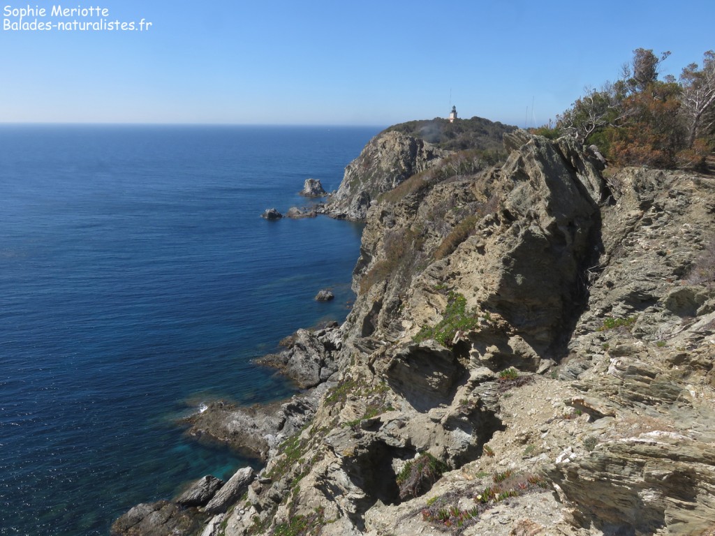 Falaises sud de Porquerolles