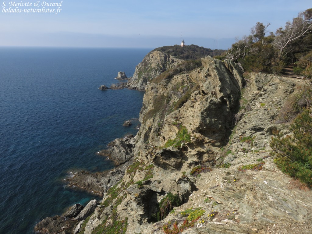 Falaises sud et phare, Porquerolles 83