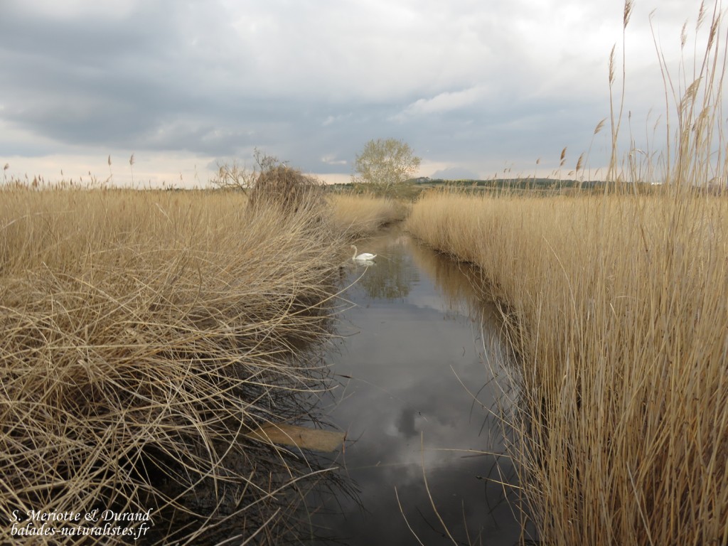 Saint-Chamas (Etang de Berre, 13)