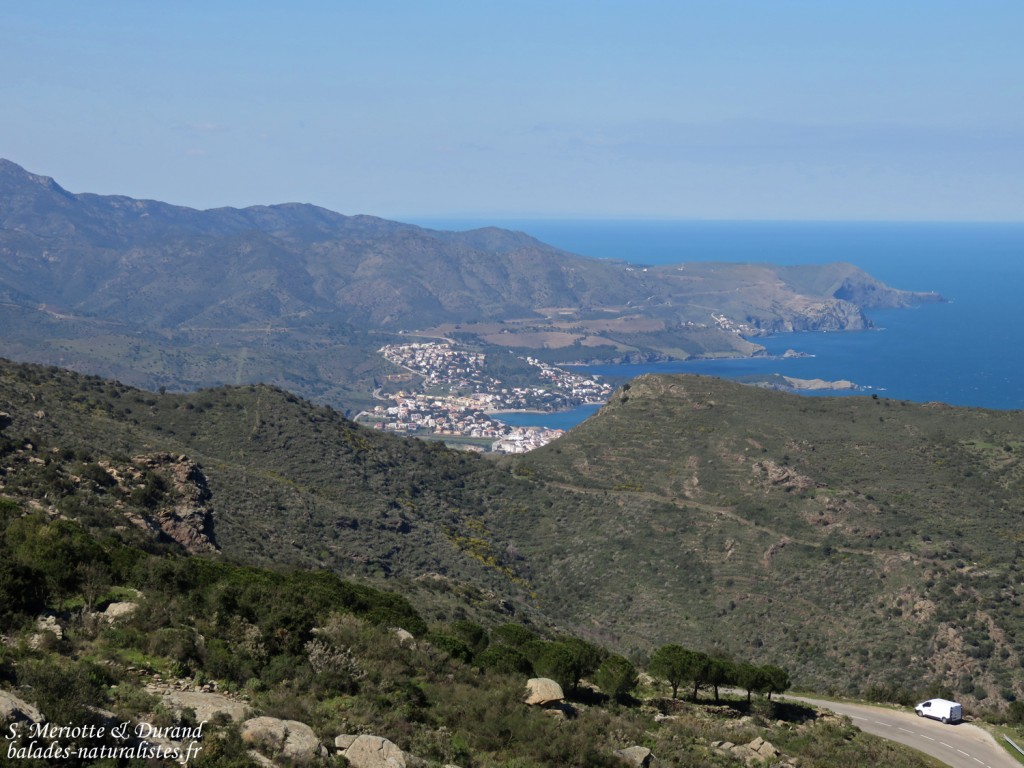 Cap de Creus, Espagne