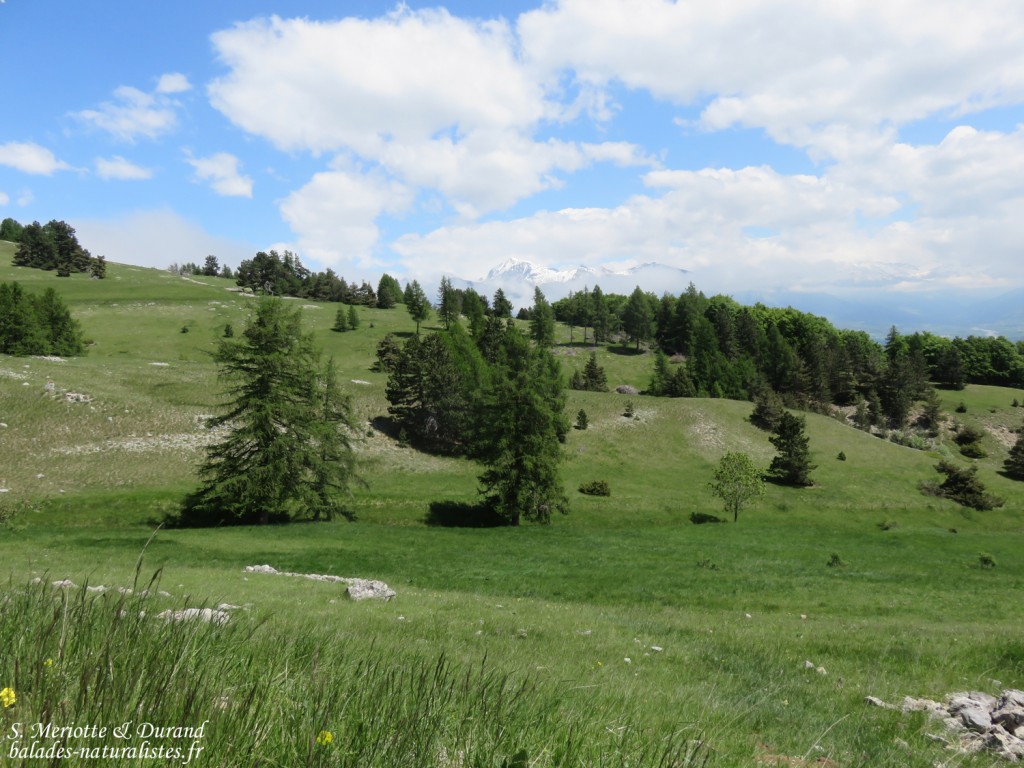 Col de Gleize (Hautes-Alpes)