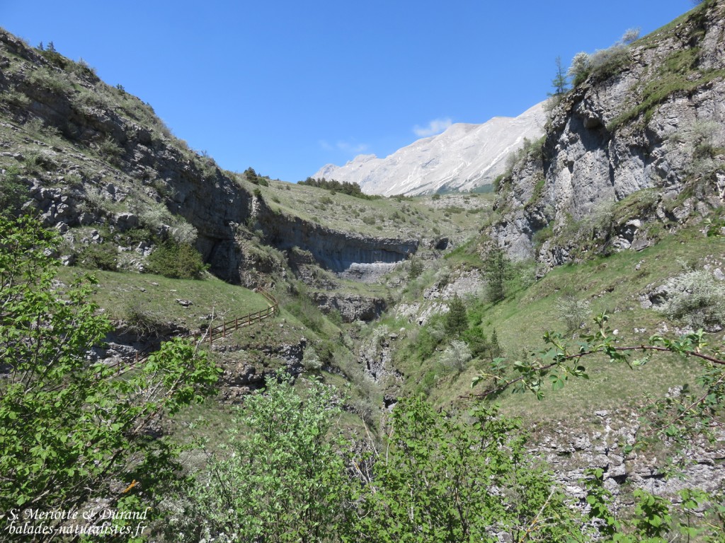 Gorges du Rif (Hautes-Alpes)