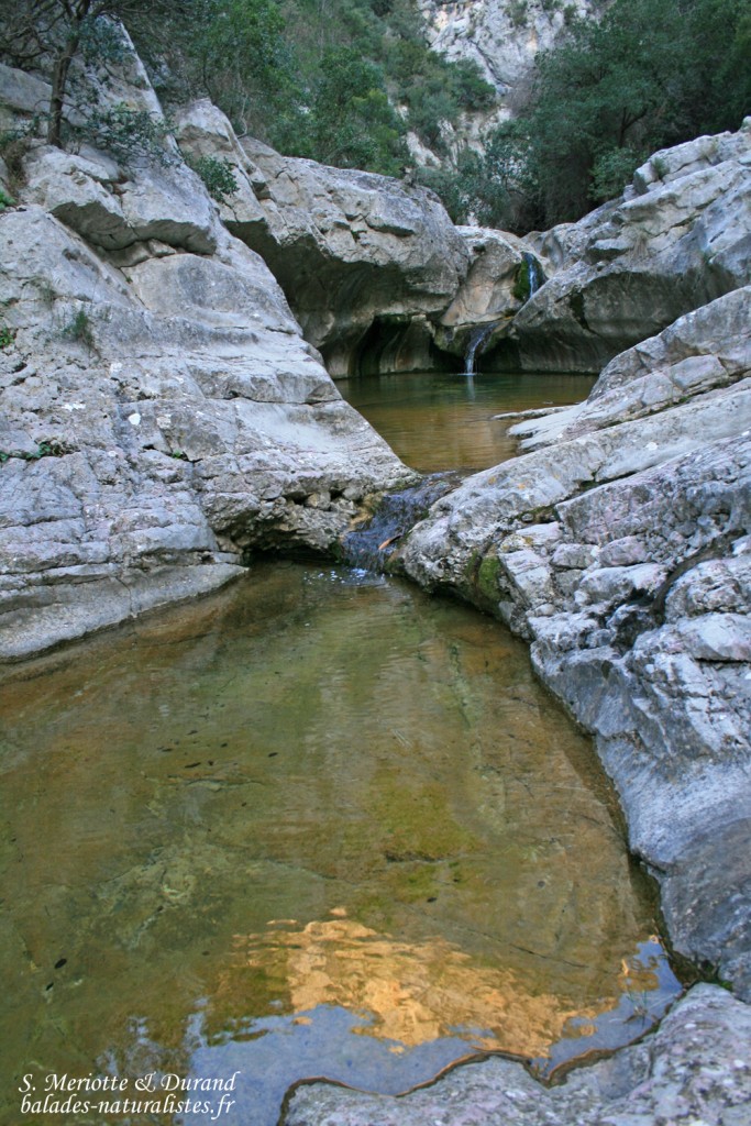 Gorges du Destel