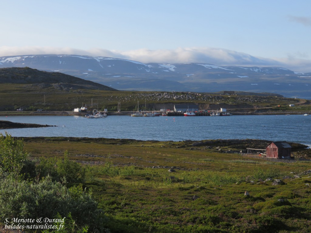 Langfjorddalen, Norvège