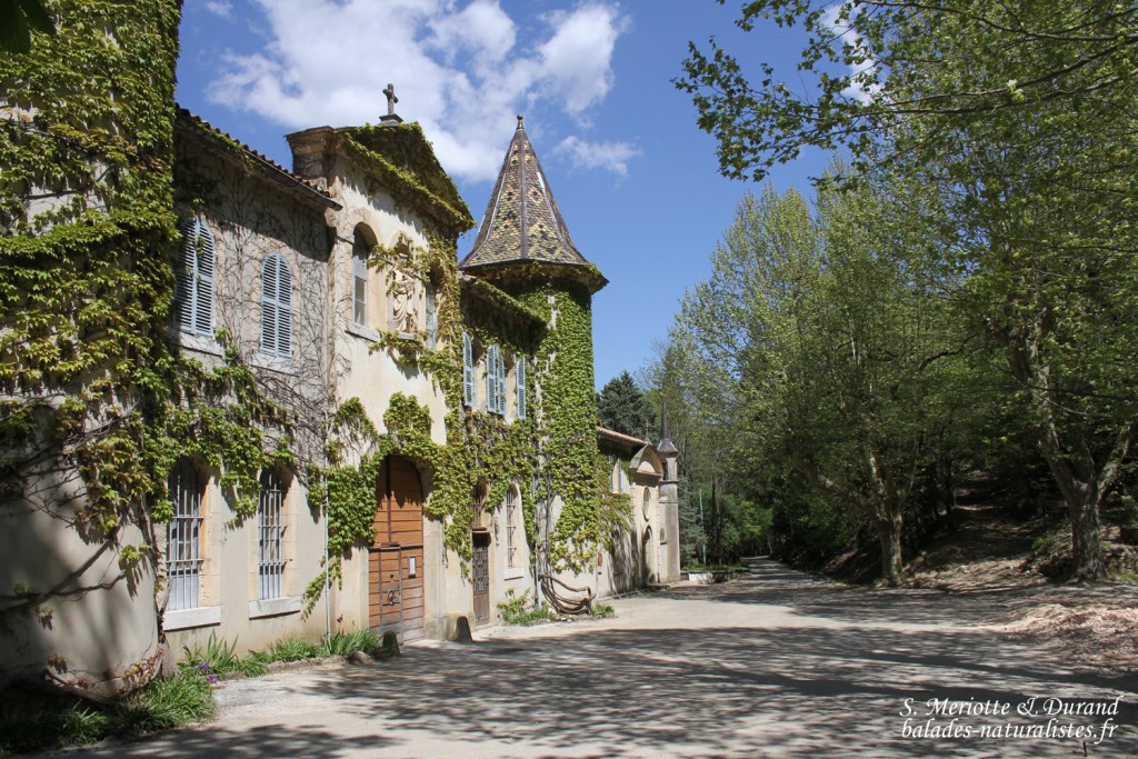 Chartreuse de Montrieux-le-jeune
