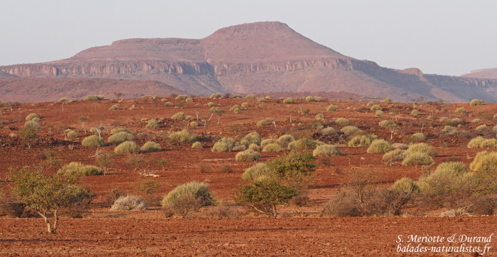 Paysages près de Palmwag