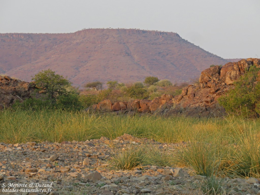Lit de rivière près de Palmwag