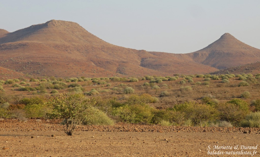 Paysages près de Palmwag