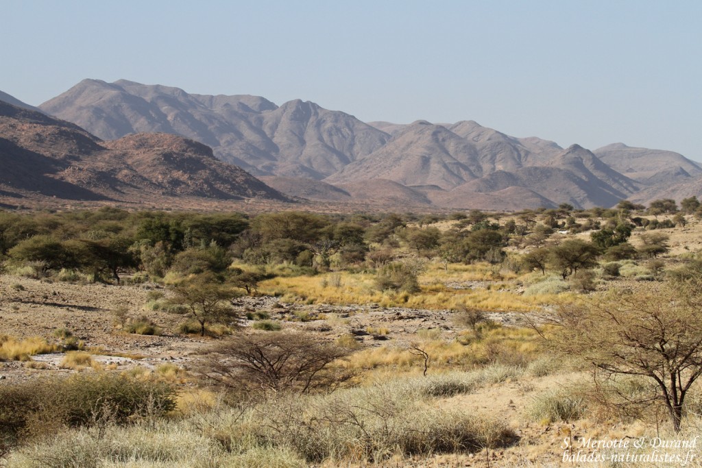 Paysages au sud de Windhoek