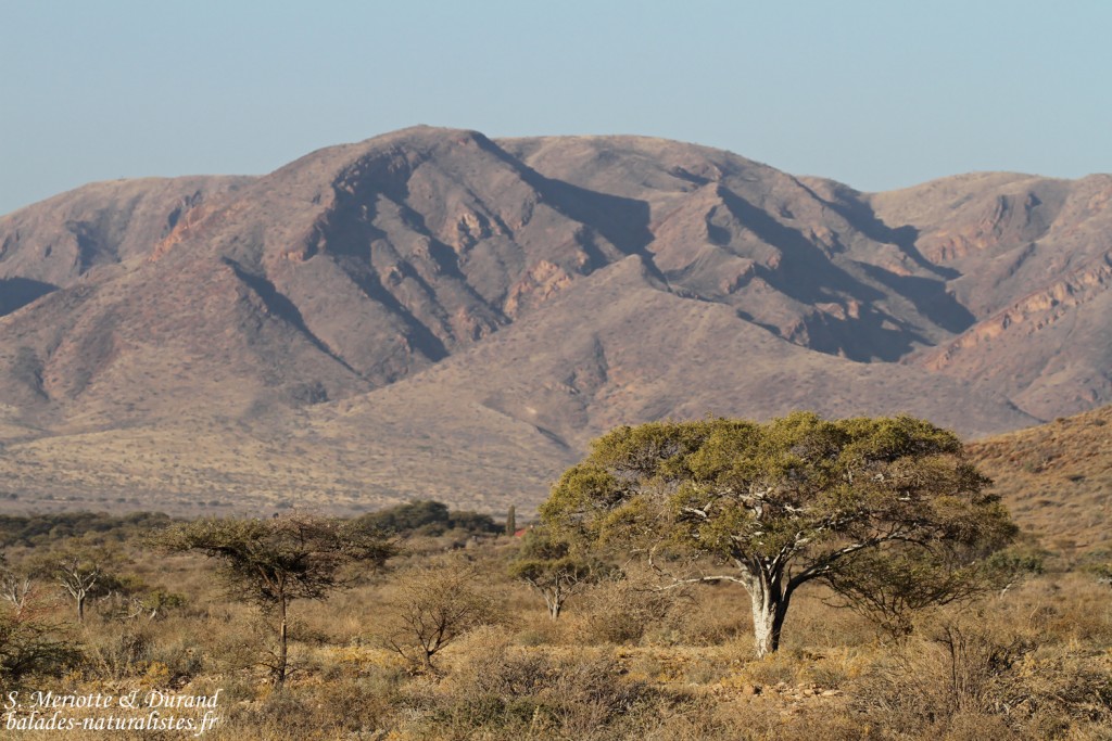 Paysages au sud de Windhoek