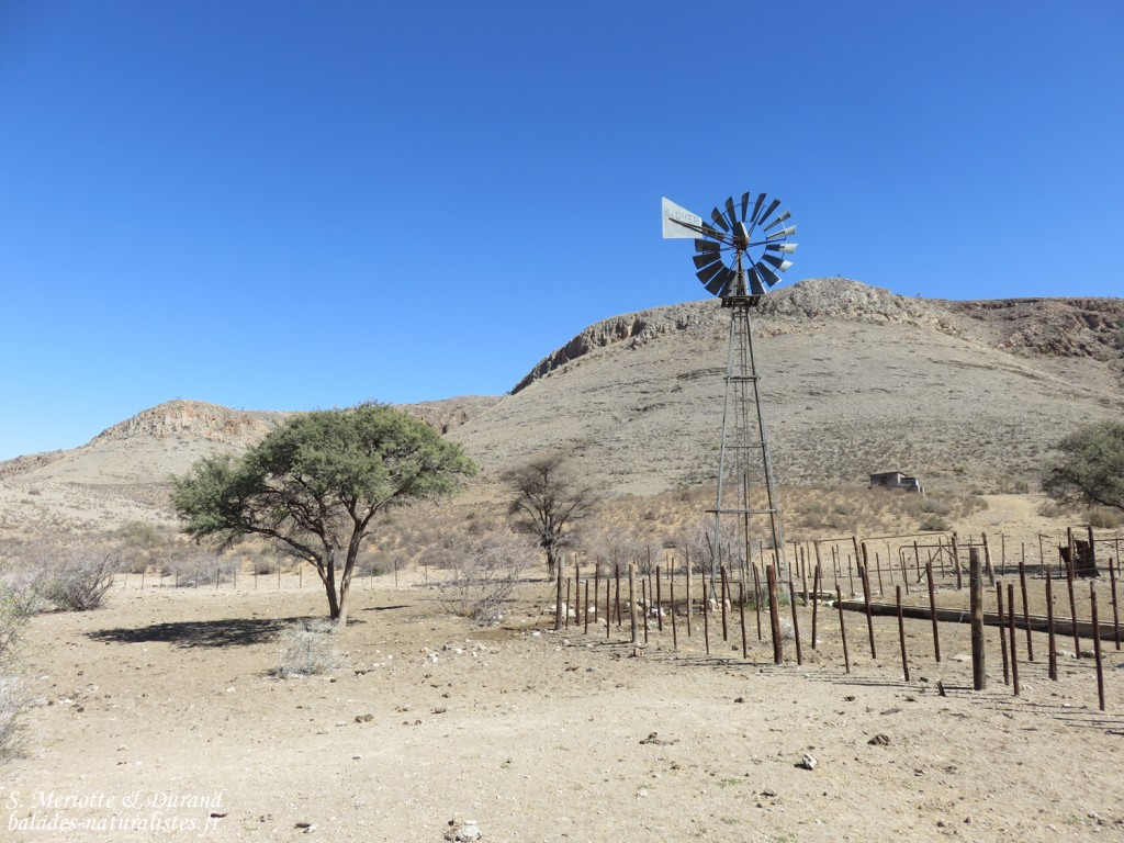 Ferme au sud de Windhoek