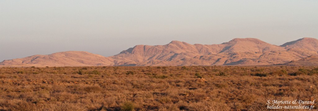 Pistes au sud de Windhoek