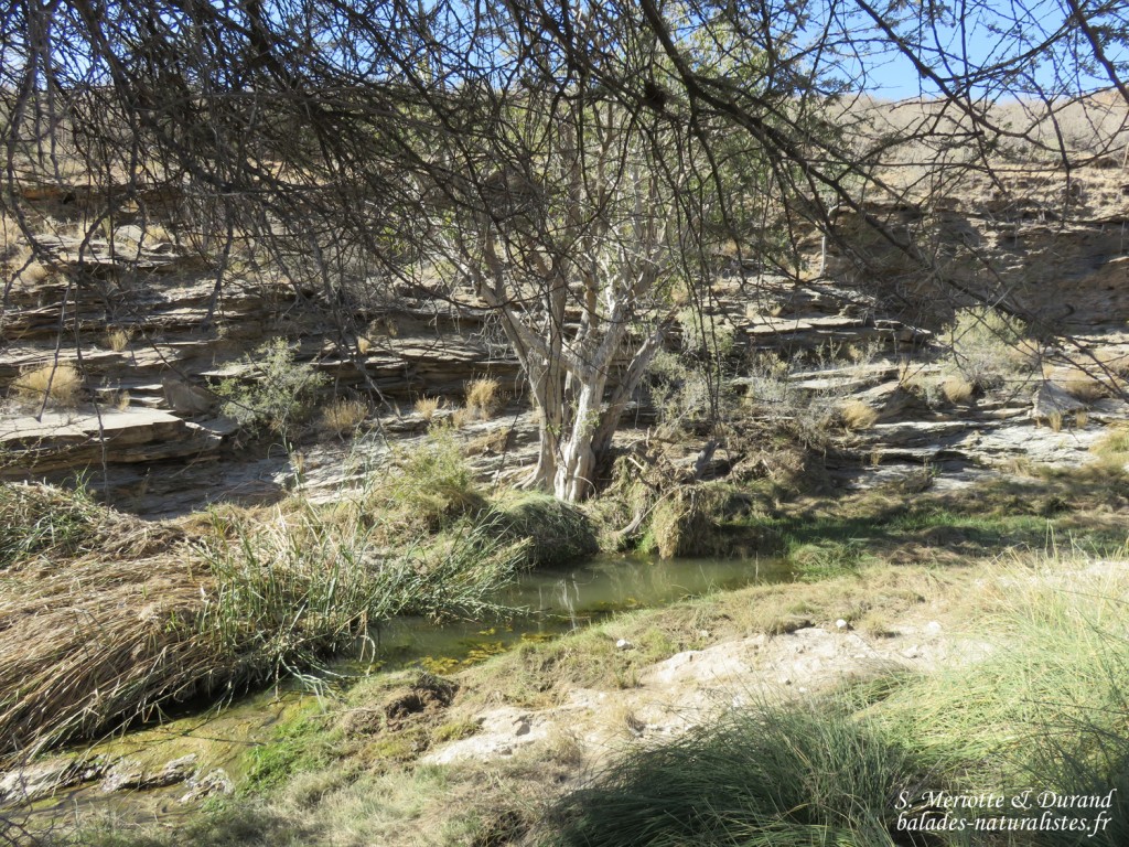 Paysages au sud de Windhoek
