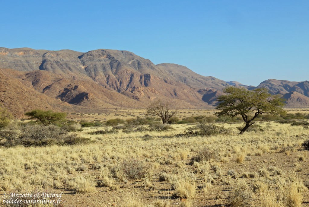 Paysages au sud de Windhoek