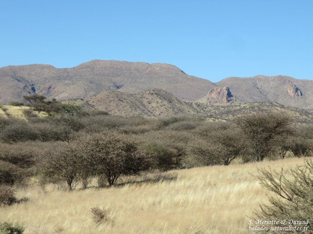 Paysages au sud de Windhoek