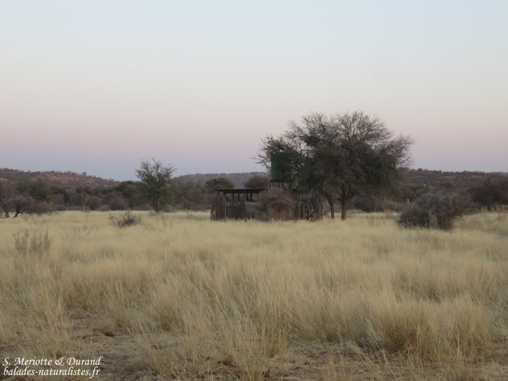 Camping près d'Etosha
