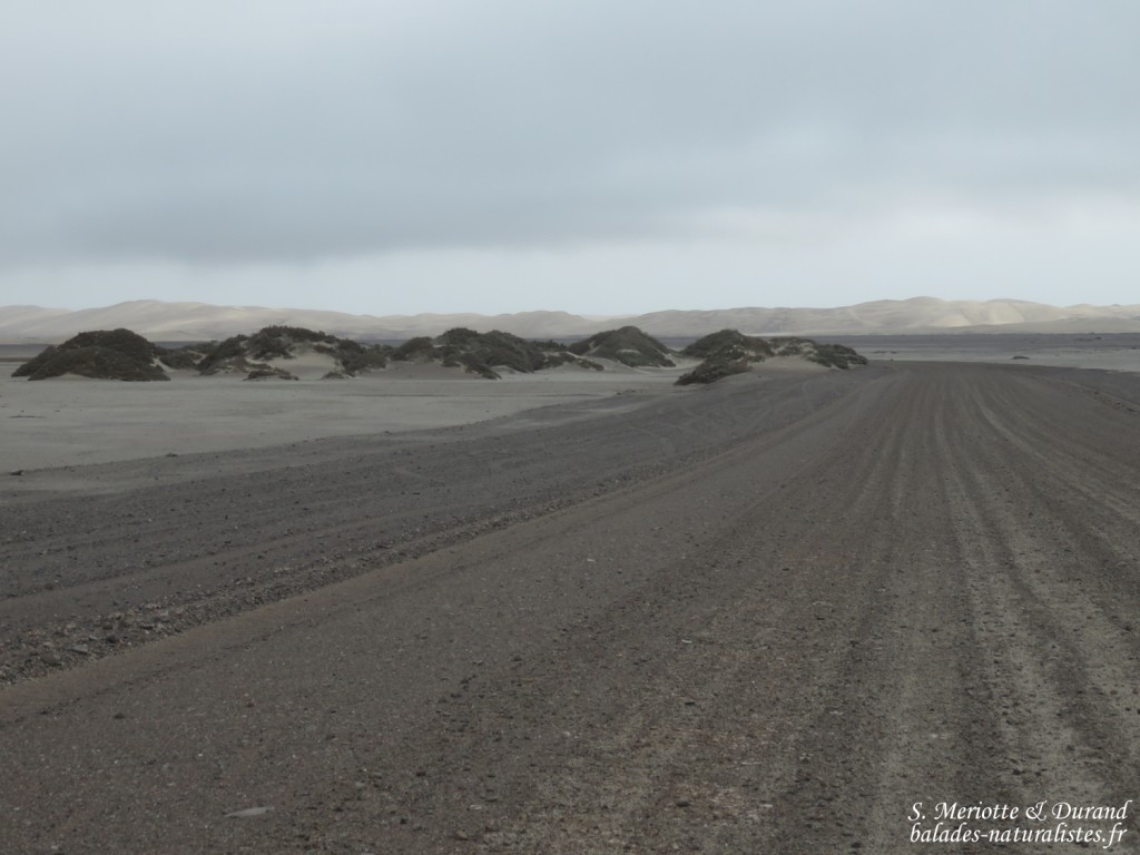 Skeleton coast