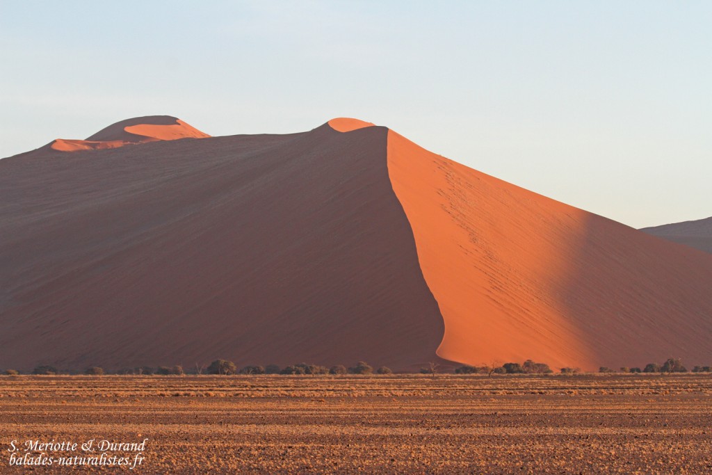 Dunes de Sossusvlei