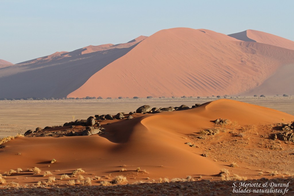 Dunes de Sossusvlei