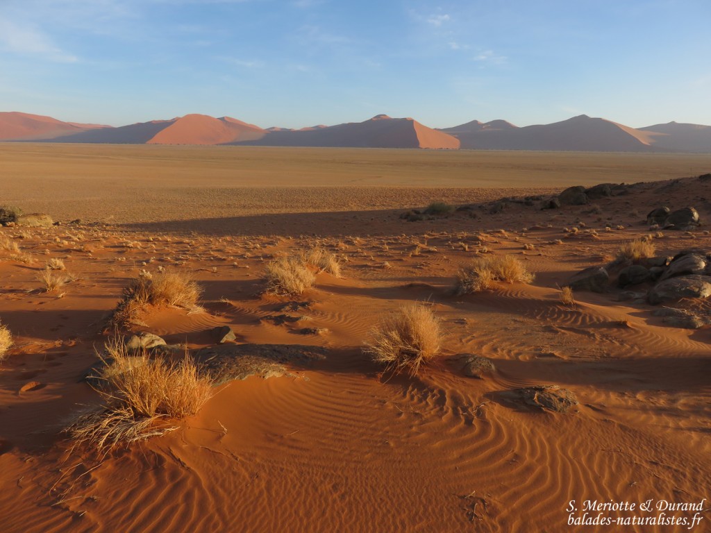 Sossusvlei