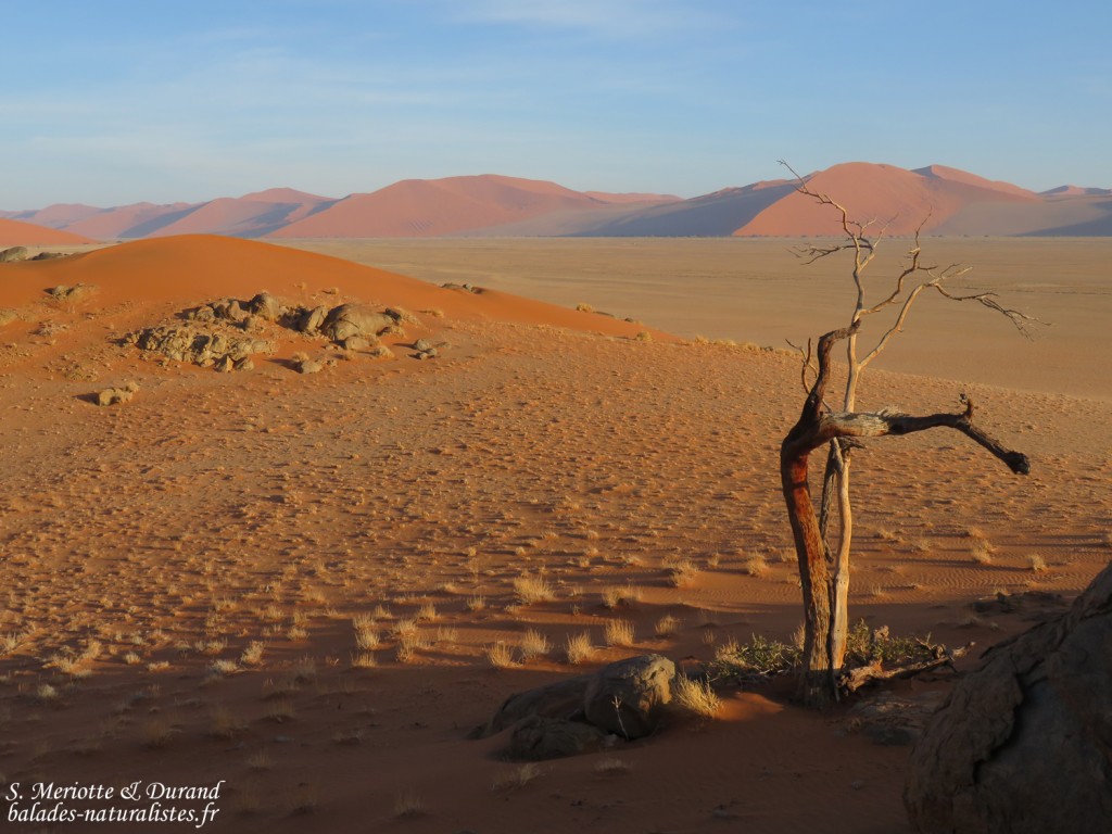 Sossusvlei