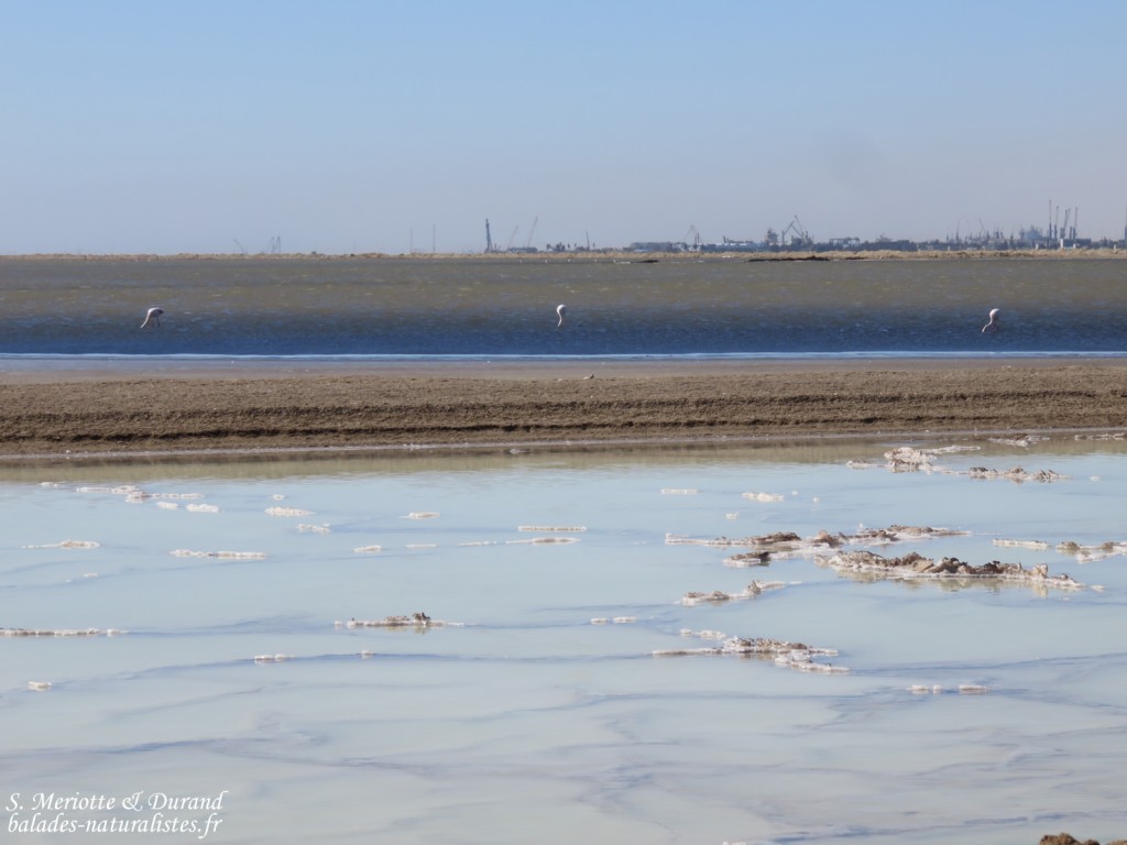 Les salins de Walvis Bay
