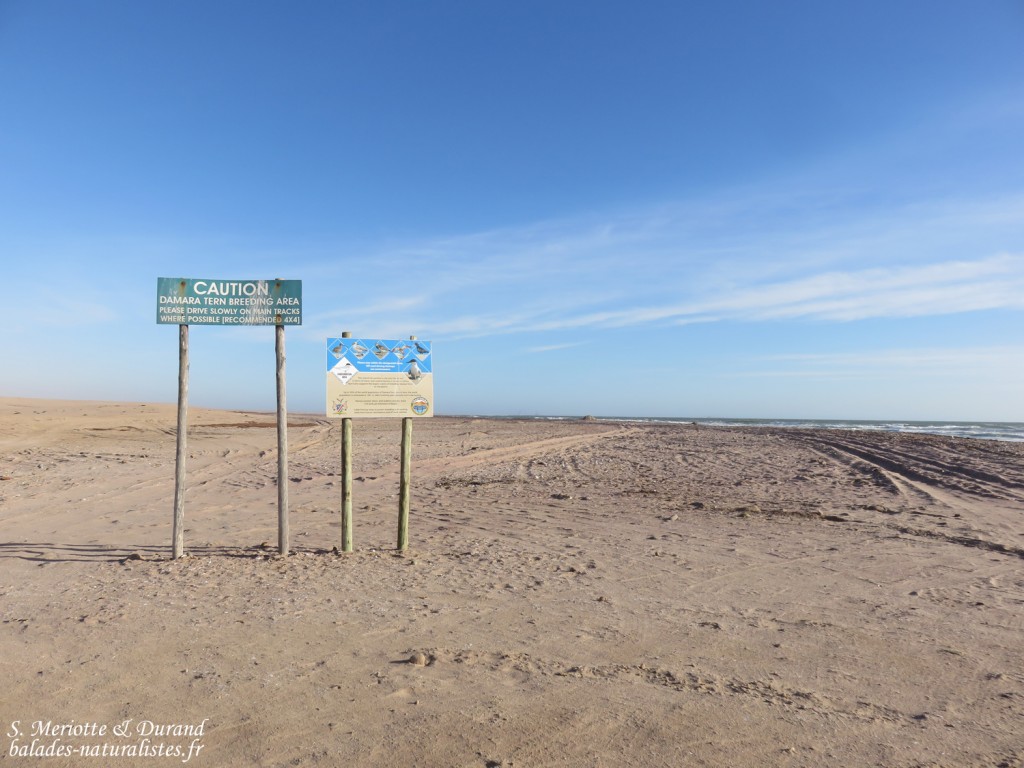 Les plages au nord de Walvis Bay