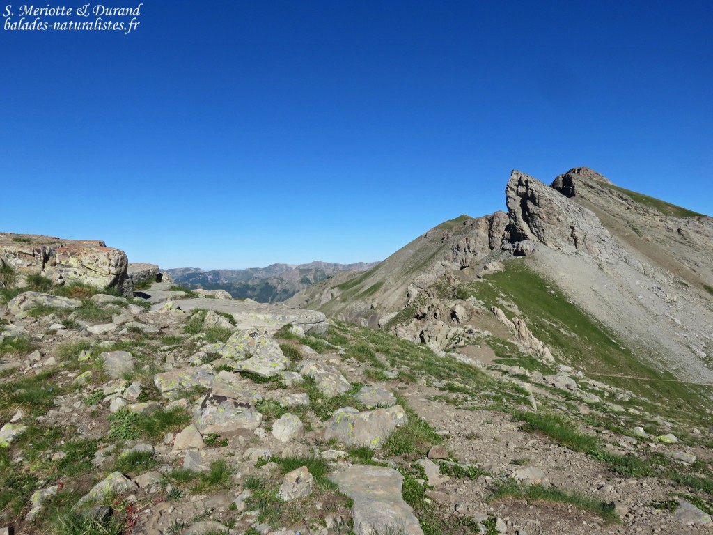 Col des Encombrettes, juin 2016