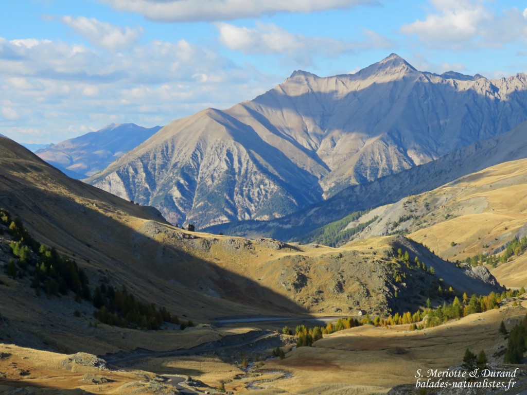 Col de la Bonette, Lac du Verdet