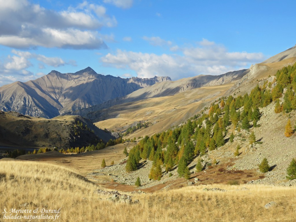 Route du Col de la Bonette
